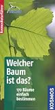 Produkt-Bild: Welcher Baum ist das?: 170 B&auml;ume einfach bestimmen. Basic