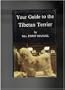 Your Guide to the Tibetan Terrier