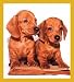   - Dachshund - Smart Bookmark