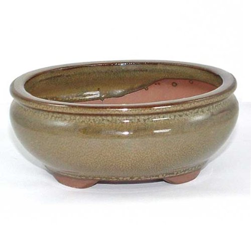 13cm Olive Coloured Oval Bonsai Pot