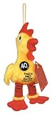 40th Birthday Gag Gift - You're No Spring Chicken