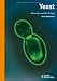 Yeast: Molecular and Cell Biology Cover