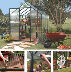 Rion Easy Grow Greenhouse (8 x 10)