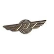 787 Wings Pin