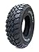 Nankang N889 All-Season Radial Tire - 245/75-16 120N