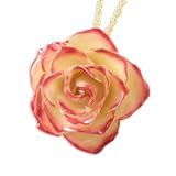 Lacquer Dipped Cream & Pink Rose w/ Gold-plated Chain