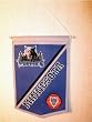 Minnesota Timberwovles - NBA Basketball Traditions Banner (Pennants)
