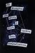 My Thoughts Are Stars - The Fault In Our Stars Juniors T-shirt