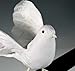 Factory Direct Craft Set of 2 Open Winged Artificial White Dove Birds | White Feather Doves are for Weddings, Christmas Decorations and DIY Crafts | Size: 11
