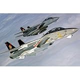 1/48 F-14B �g���L���b�g VF-11 ���b�h���b�p�[�Y