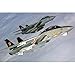 1/48 F-14B �g���L���b�g VF-11 ���b�h���b�p�[�Y