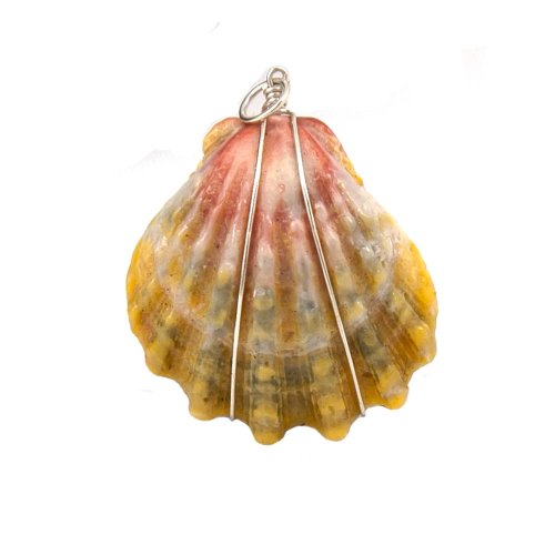 Sunrise Shell Natural Color Wire Wrapped Pendant Made in Hawaii