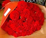 �y��̓��z��ɑ���ԑ�2009�ɏ�̃J�[�l�[�V����50�{�̉ԑ��I�yparavoce�z