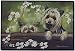 yorkshire_terrier24yorkshire terrier - YORKSHIRE TERRIERS DOORMAT by Pollyanna Pickering