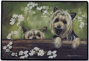 image link -  - B000S10BWS