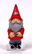 University of Georgia Garden Gnome