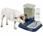 2 in 1 Futter- und Wasserspender Futt...