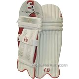 Batting Leg Guards : SG Club