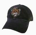 Auburn Tigers Fitted Hat