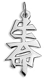 Sterling Silver Japanese/Chinese “Life” Kanji Symbol Charm