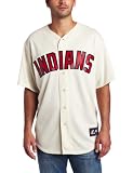 MLB Men's Cleveland Indians Grady Sizemore Ivory Short Sleeve 6 Button Synthetic Replica Baseball Jersey Spring 2012  (Ivory, Medium)