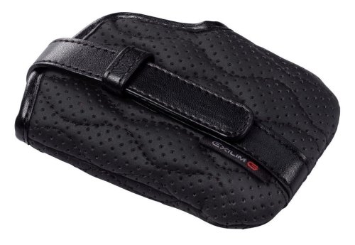 CASIO デジタルカメラ用ケース ESC-221BK
