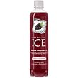 Sparkling ICE Sparkling Ice Black Raspberry, 17-Ounce Bottles (Pack of 12)