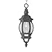 Transglobe Lighting 4065 SWI Outdoor Hanging Pendant with Beveled Glass Shade, Swedish Iron Finished