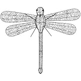 IMAGE OF Terrapin Trading D0/TTU-68046 Dragonfly Wall Décor
