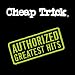 Authorized Greatest Hits