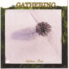 Nighttime Birds [CD on Demand]
