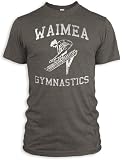 Produkt-Bild: Vintage Distressed Waimea Gymnastics Tri-Blend T-Shirt