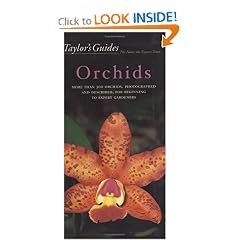 Taylor's Guide to Orchids: More Than 300 Orchids, Photographed and Described, for Beginning to Expert Gardeners (Taylor's Guides)