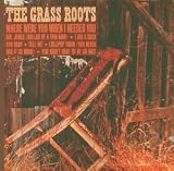 Grass Roots - Where Were You When I Needed You