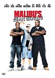 Malibu's Most Wanted - Jamie Kennedy