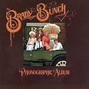 The Brady Bunch Phonographic Album