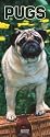 Pugs 2007 Slimline Calendar