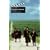 Brian Friel's Dancing at Lughnasa: Screenplay