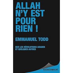 Allah n'y est pour rien ! : Sur les r�volutions arabes et quelques autres