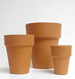 Clay Rose Pot - Medium