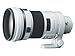 SONY 300mm F2.8 G SAL300F28G