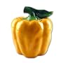 YELLOW BELL PEPPER 3-Dimensional Cookie Jar NICE & BRAND NEW