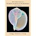 Introduction to Mathematical Statistics
