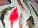 12 High Quality Hot Vivid Dyed Colors Grizzly Rooster Feather Hair Extensions FREE RING with purchas