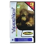 Videonow 3 Disc Pack, Animal Planet, the Jeff Corwin Experience