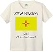 NEW MEXICO - LAND OF ENCHANTMENT - FLAG - BigBoyMusic Youth Designs - White T-shirt