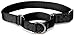 Premier Collar Medium 3/4-Inch, Black