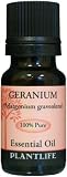 Geranium 100% Pure Essential Oil   10 ml