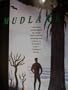 Mudlark: A Mystery