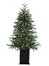 5?Hx34D Blue Spruce Pine(pe) Tree x314 w/200 Clear Lights in Wood Box Blue Gray